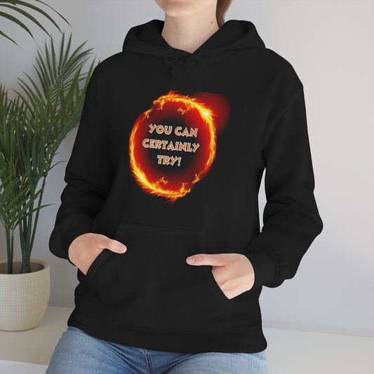 D&D You Can Certainly Try Unisex Hoodie